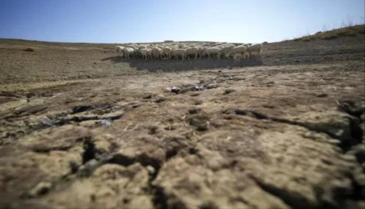 الجفاف يهدد كوكب الأرض: الأمم المتحدة تحذر من تداعيات كارثية