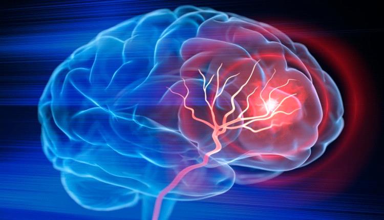 مفاجأة علمية.. ليس المخ فقط هو ما يمتلك ذاكرة!