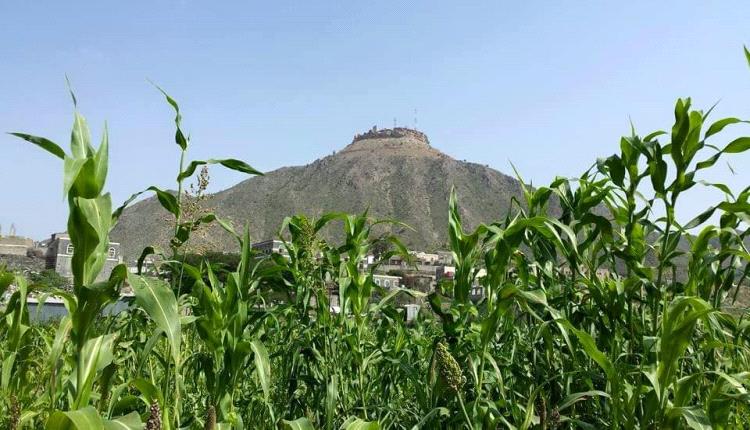 قلعة القارة التاريخية في يافع جمال وتراث يبهر الناظرين