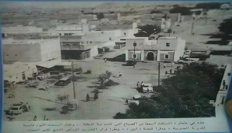 جعار زهرة الجنوب