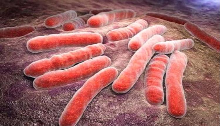 باحثون بريطانيون ينجحون في تطوير سلالة بكتيرية جديدة معدلة جذريًا