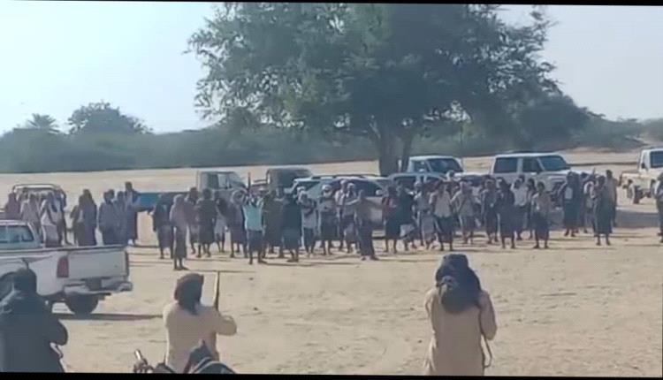 تحكيم قبلي يقضي بالعفو والسماح بين قبيلتي آل اليحاوية وآل امبسطي في أحور