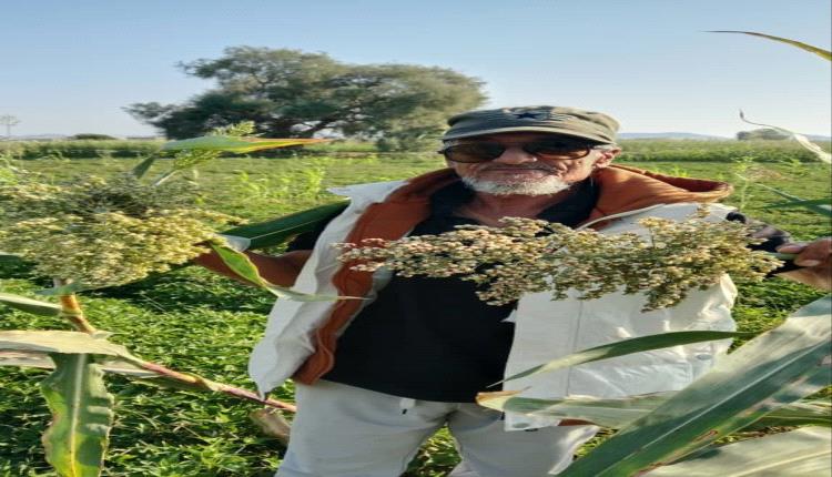 على ريح المرق فتو ومن اعتمد على خَصار جاره أكلها يبيس