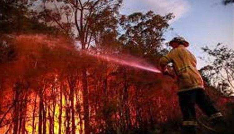 رجل إطفاء يلقى حتفه وحرائق تهدد 40 منزلًا في ولايتين أستراليتين