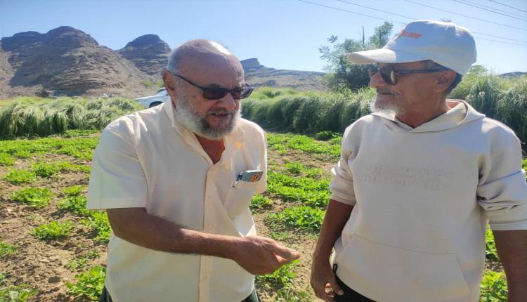 التشجير… استثمار وطني لحماية البيئة وصناعة المستقبل