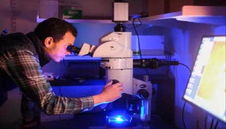 فريق بحثي بقيادة مصري يقدم أملًا جديدًا لعلاج الخرف واضطرابات تدفق الدم في الدماغ