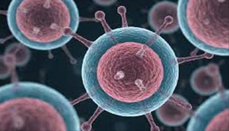 اكتشاف بكتيريا في أمعاء ضفادع يابانية تقضي كليًا على سرطان القولون في التجارب