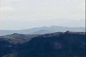 القوات الجنوبية تحبط محاولة تسلل حوثية في جبهة حمالة وتلحق بالمليشيا خسائر فادحة