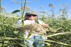 حين تطلب الاستشارة ولا تريد أن تسمع