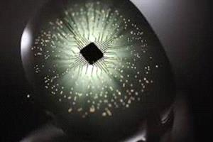 ثورة في الحوسبة الحيوية: خلايا دماغ بشرية تصبح وحدات معالجة رقمية