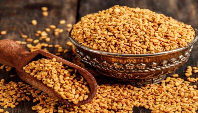 مشروب الحلبة.. كنز صحي مهمل في الشتاء