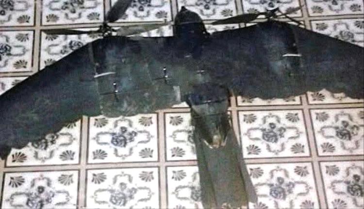 درونات روسية تحاكي أشكال الطيور لإرباك الجنود الأوكرانيين