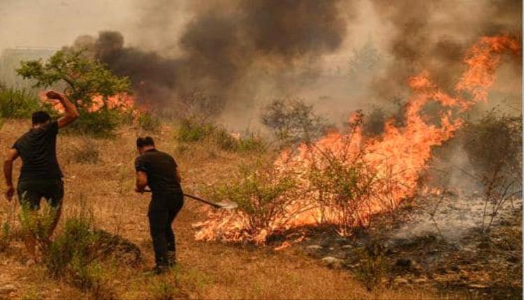 اندلاع حرائق الغابات على ساحل البحر المتوسط في تركيا والحكومة تعلن منطقتي كوارث