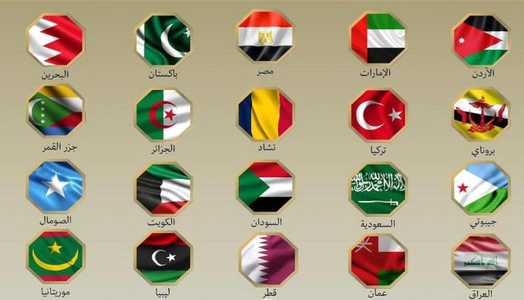 20 دولة عربية وإسلامية يصدرون بيانا مشتركا لإدانة الهجوم الإسرائيلي على إيران