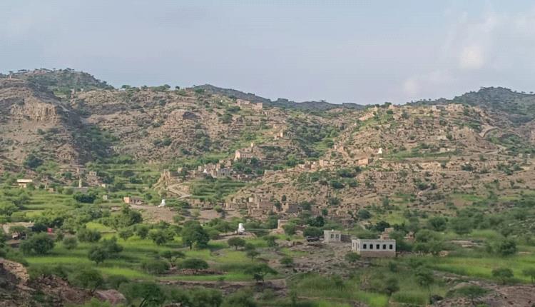 استشهاد وإصابة نساء وأطفال من أسرة واحدة إثر قصف حوثي متعمد على منزلهم في قرين بالمسيمير