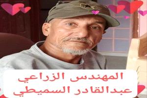 ماذا يحصل في موز أبين؟ من ينهب المزارع ومن يبتلع الأرباح؟