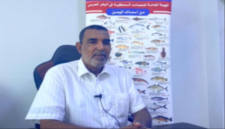 صلاح بابريده: رغم التحديات الاقتصادية.. هيئة مصائد البحر العربي تحقق إنجازات ملموسة