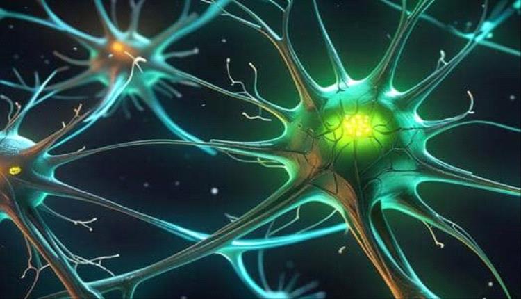 ابتكار خلايا عصبية اصطناعية تعمل بالأيونات تمهّد لثورة في الذكاء الاصطناعي المشابه للدماغ البشري