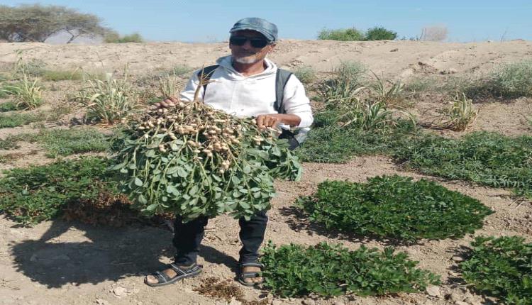 من باع ترابه خسر زاده، ومن أهمل قناته تصحّرت أرضه.