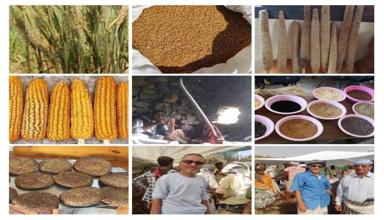 من خزن بذرة اليوم أكل خبز الغد