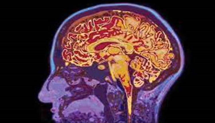 علماء يبتكرون تقنية لتحويل نشاط الدماغ إلى نصوص دقيقة تكشف ما يراه الإنسان ويستذكره