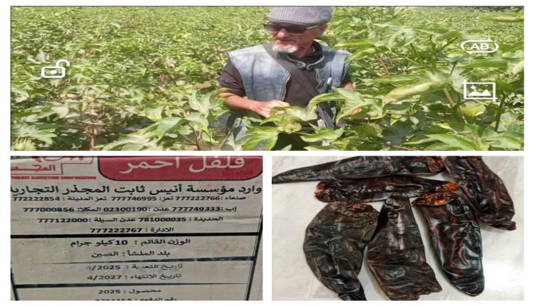 ​أبين تفقد ذهبها الأبيض وأحمرها القاني... والزراعة تتجه نحو الموت البطيء!