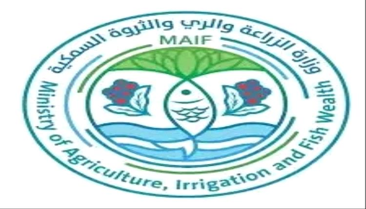 رؤية تطوير قطاع الثروة السمكية عبر إنشاء نقاط اصطياد نموذجية في المدن الساحلية