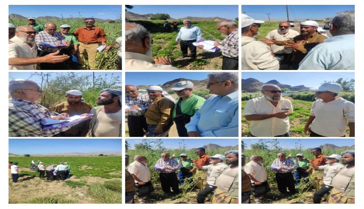 إذا هبّت الرياح قام العلماء... وما يفزع إلا ولد الفزع