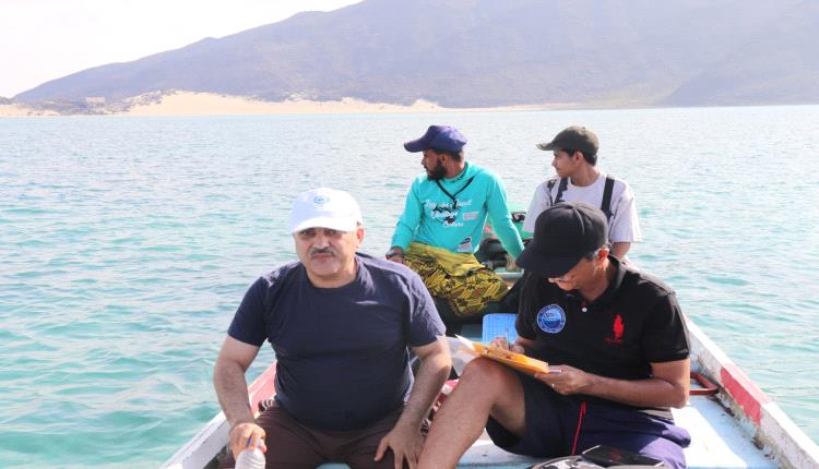 الهيئة الإقليمية (PERSGA) والهيئة العامة لحماية البيئة: دراسة الشعاب المرجانية في جزيرة العزيزي