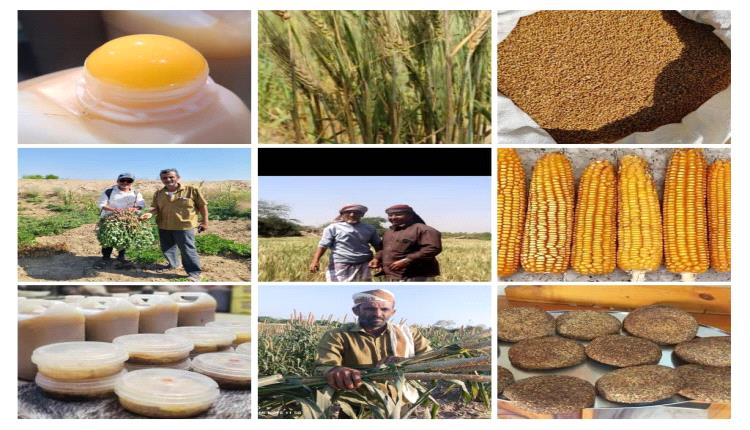 المعارض الزراعية نافذة اليمن نحو زراعة حديثة وتنافس محلي وعربي وعالمي