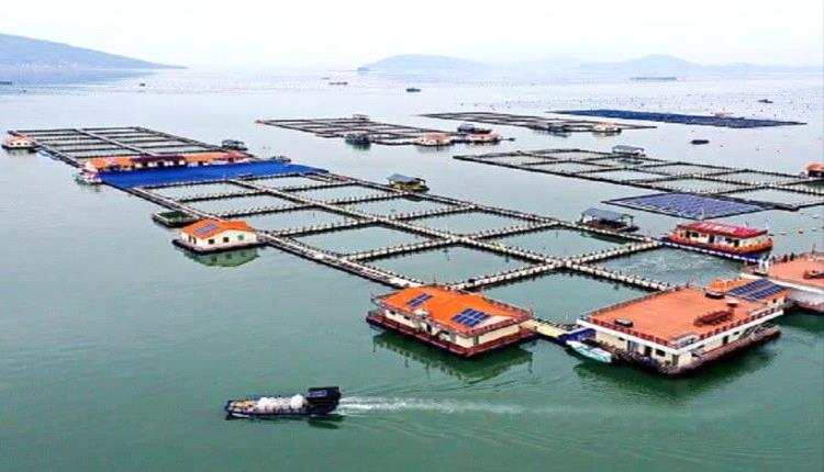 الصين تعرض استثمارات ضخمة في قطاع النفط العراقي… وبغداد لم ترد منذ 7 أشهر