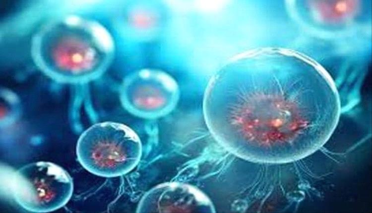 علاج مبتكر يعيد شباب الخلايا الجذعية ويعد بتجديد الدم دوائيًا