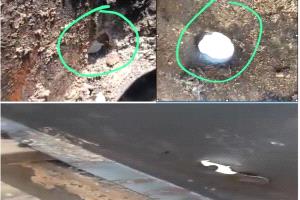 شركة صقر الحجاز