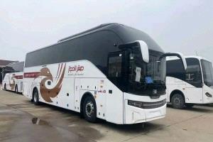 اللجنة العليا للتحقيق في حادثة حافلة أبين توقف نشاط شركة صقر الحجاز وترفع تقريرها لدولة رئيس الوزراء