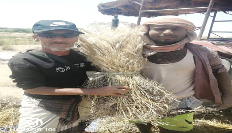 ستّ خطوات كفيلة بإنقاذ وطنٍ أنهكته الفتن والحروب