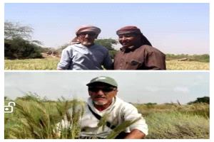 من ترك أرضه.. أكل ندمه