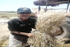 كل نار تصبح رمادًا مهما تقيد إلا نار الشوق يومًا عن يوم تزيد