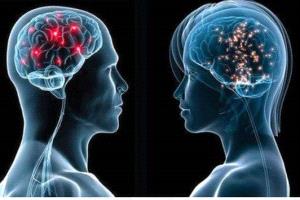 دراسة من جامعة أوسلو: أدمغة الرجال تتقلص أسرع من النساء رغم ارتفاع تشخيص الزهايمر لدى الإناث