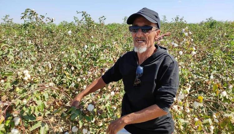 تنظيم توزيع مياه السيول حماية للري وضمان للعدالة