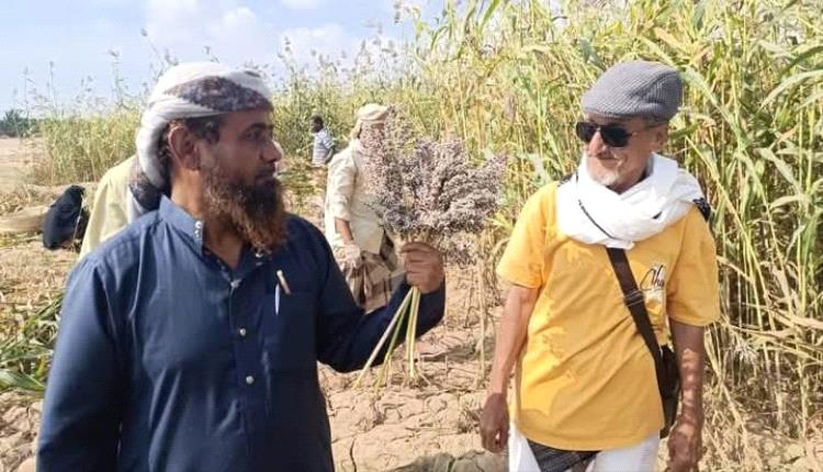 مركز ابحاث  الكود سبعون عامًا من الإنجازات الزراعية بين فرحة الاحتفال ومرارة الإهمال
