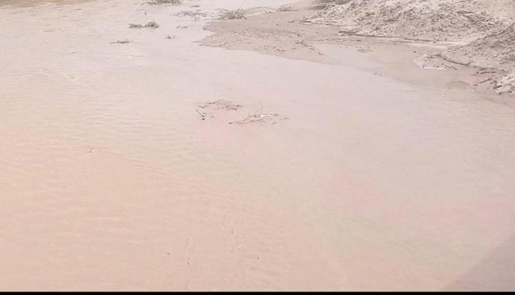 غرق خمس نساء من أسرة واحدة في قرية المحصامة بمديرية أحور