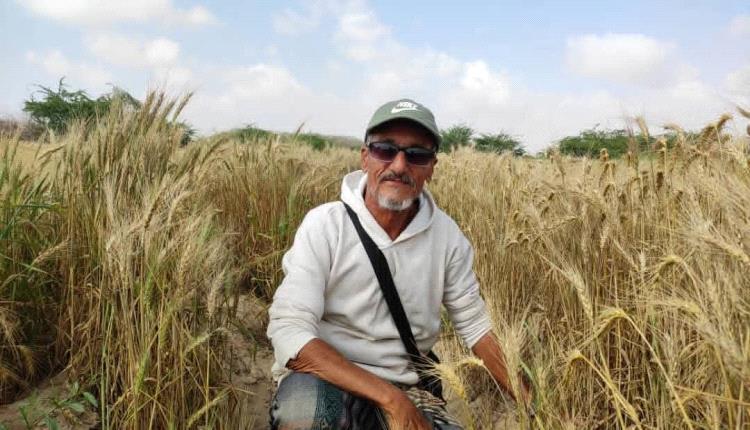 النمل الأبيض… عدو صامت يهدد بيوتنا وحقولنا!