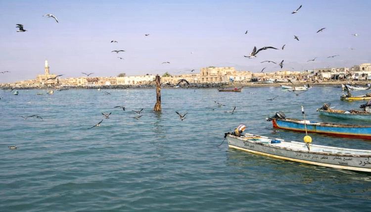 شقرة.. صبر وكفاح وسط معاناة يومية.