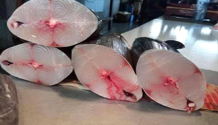 بائعو الأسماك في "الممدارة" يشكون من تسعيرة مكتب الصناعة ويطالبون برفع هامش الربح لتجنب الخسائر