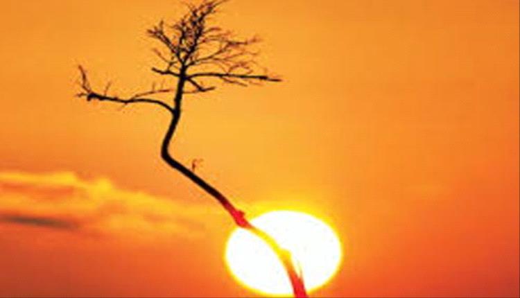 دراسة: فصل الصيف أصبح أطول وأكثر حرارة بوتيرة متسارعة عالمياً