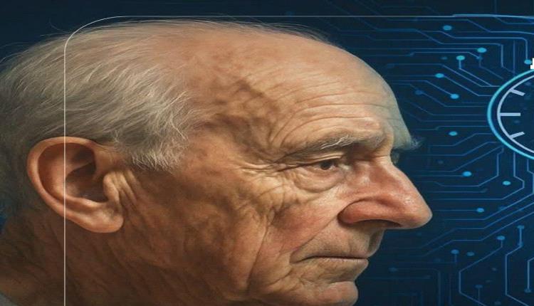 دراسة علمية: تقليل السعرات بشكل معتدل قد يبطئ الشيخوخة عبر تنظيم بروتين مناعي