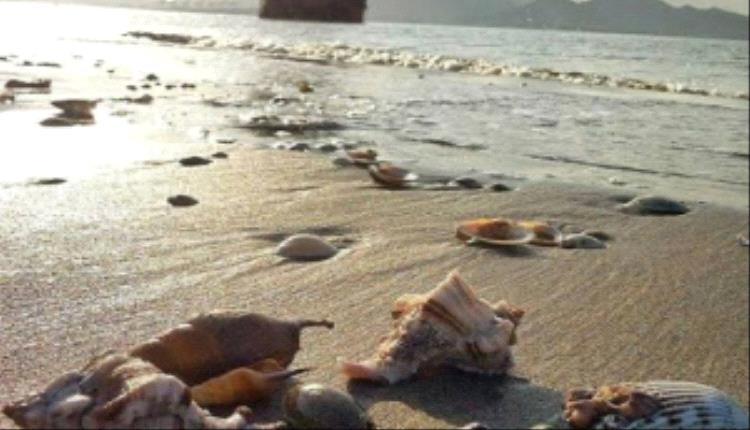 مأساة في ساحل الحسوة بعدن.. غرق شابين وفقدان آخرين وسط تأخر الاستجابة