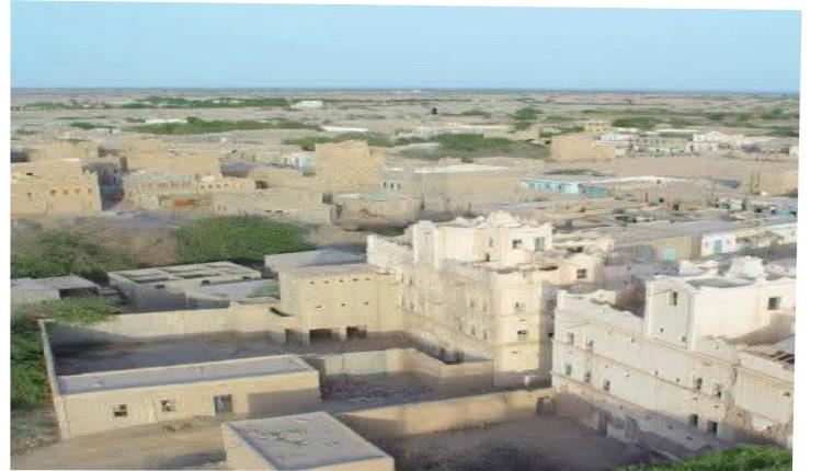 ركود يضرب سوقي النحل والمواشي في أحور
أحور – عارف باشبوة