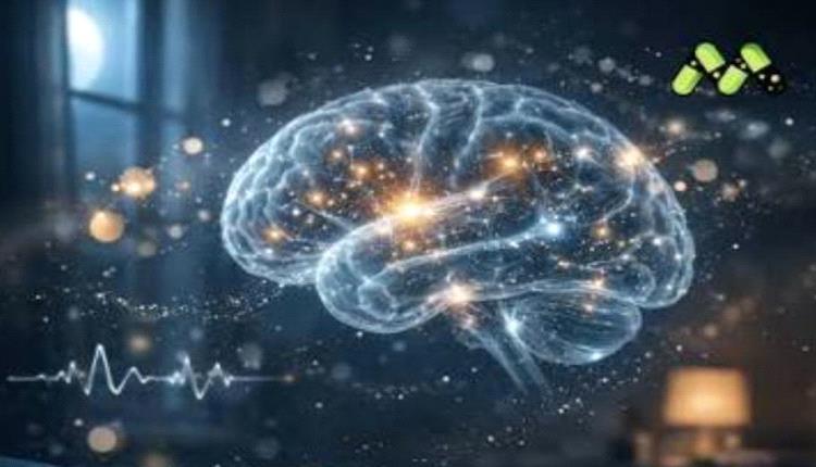 النوم والعمر يعيدان تشكيل النشاط الكهربائي للدماغ.. دراسة تكشف تأثيرات أعمق من المتوقع