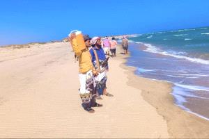 في حملة إنسانية واسعة.. شباب 